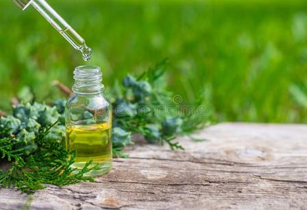 Essential Oils - 图片 4
