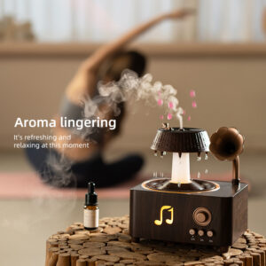 Yminigo V98 gramophone aroma diffuser with essential oil mist and pink petals